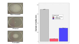 Soft-agar assay를 통한 motility 확인 실험