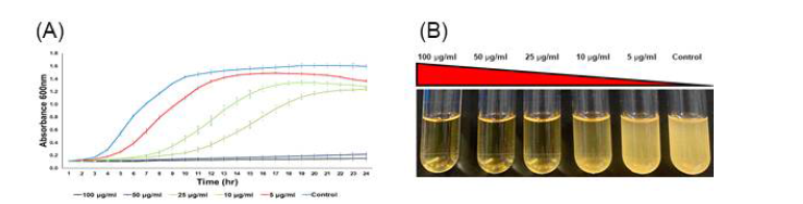 (A) Erythromycin 농도구배별 CK108 성장곡선 비교 및 (B) MIC assay를 통한 CK108의 erythromycin 부억제성 농도 설정