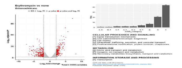 부억제성 농도의 erythromycin 노출 시 CK108의 RNA-seq data 분석