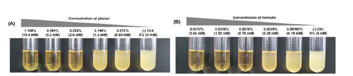 MIC assay를 통한 CK108의 (A) phenol과 (B) formalin 부억제성 농도 설정