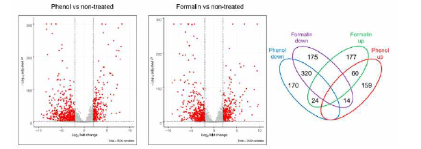 부억제성 농도의 phenol 또는 formalin 노출 시 CK108의 RNA-seq data 분석