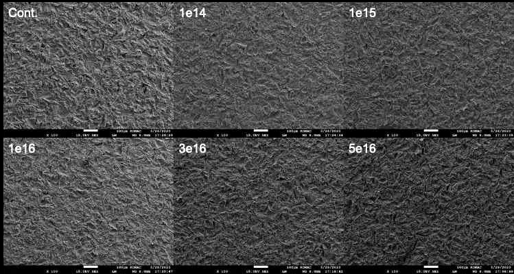 Ti disk 거칠기 SEM 영상 (x100)