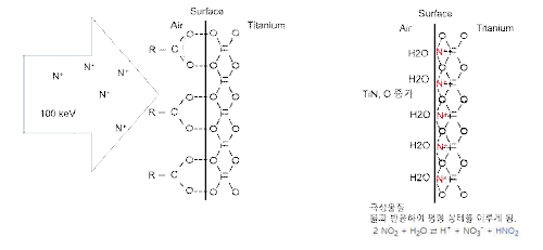 질소이온빔 주입에 의한 표면 친수성 기작 모식도