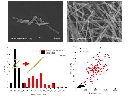 diphenylalanine petide nanowire의 종횡비