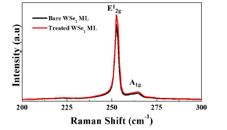 화학 처리 전/후 WSe2 monolayer의 라만 (raman) 결과