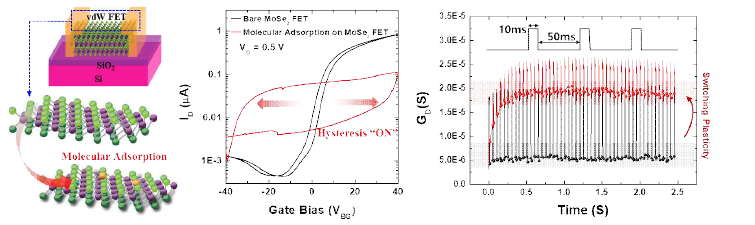 3차년도 연구 요역 - 분자 흡착에 의한 MoSe2 소자의 가소성 발현