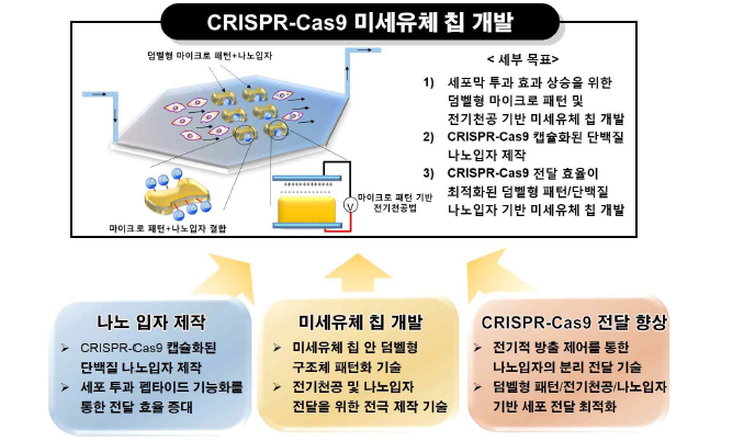 연구 개발의 개략도