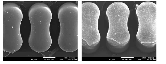 나노입자 고정화 전 (좌) 및 고정화 후 (우) 마이크로 구조체 이미지