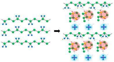 PVdF 계열의 고분자 사슬에 이온성 액체가 blending 된 준 고체 멤브레인 (ion-gel)에서 양이온에 의한 고분자 사슬의 정렬 및 음이온의 모식도