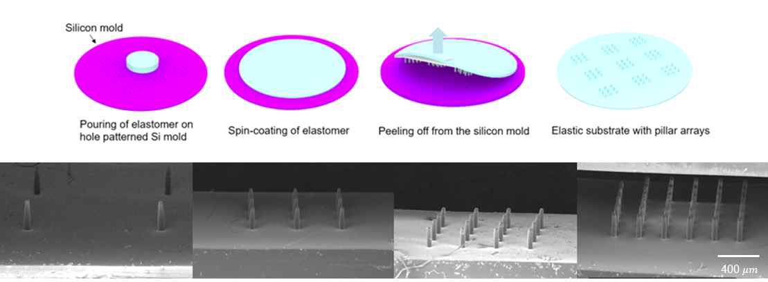 ion reactive etching이 진행된 실리콘 몰드로 기둥구조 기판 제작