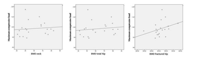 BMD 와 골강도와의 상관관계에 대한 scatter plot