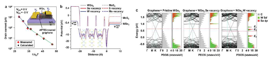 그래핀/WSe2 소자 (a) 1/kBT vs Id (b)결함원소에 따른 포텐셜 변화 (c)결함원소에 따른 전자구조 변화