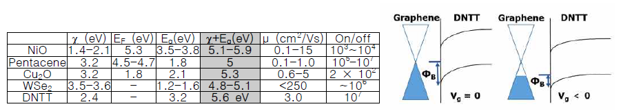 p-type semiconductor 물질의 특성 및 그래핀과 DNTT 접합의 동작 원리