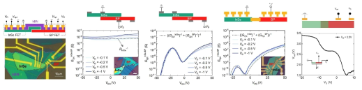 InSe/BP 기반 NDT 소자 사진 및 메커니즘 규명과 성능 최적화를 위한 소자 구조 비교 그림, 삼진 로직 인버터