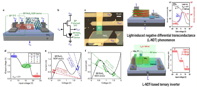(좌) BP/ReS2 Schottky junction을 이용한 NDR 소자와 BP TFT를 연결한 삼진 인버터, (우) Photoinduced drain current에 의한 L-NDT 현상을 응용해 삼진 인버터 개발