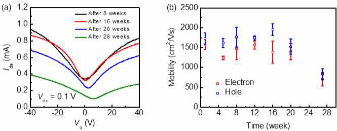 화학기상증착법으로 합성하고, 진공 상태에서 일정 기간 동안 보관한 후 제작한 그래핀 트랜지스터의 (a) IDS-VG 특성과 (b) 전하이동도