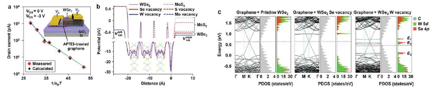 그래핀/WSe2 소자 (a) 1/kBT vs Id (b)결함원소에 따른 포텐셜 변화 (c)결함원소에 따른 전자구조 변화