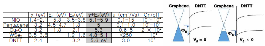 p-type semiconductor 물질의 특성 및 그래핀과 DNTT 접합의 동작 원리