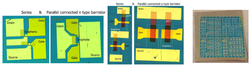 n type, p type 그래핀 배리스터의 직렬, 병렬연결 공정에 대한 광학 이미지 및 대면적 기판에 다수의 단위 소자 형성 공정 후 광학 이미지