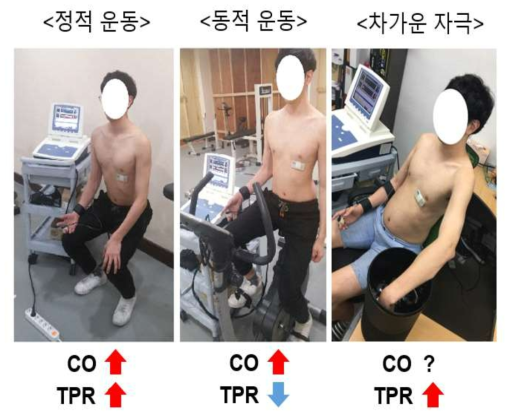 혈압이 변하는 다양한 상황 및 해당상황에 우세한 혈압 조절 인자