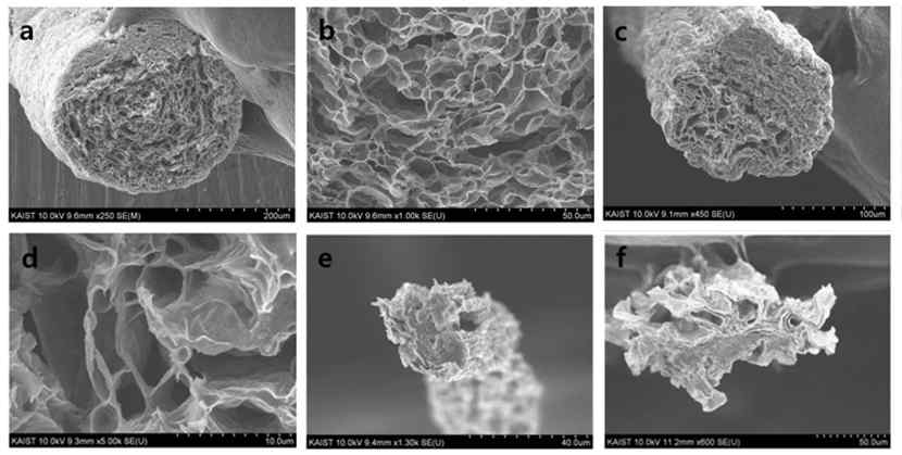 (a), (b) 히드라진으로 환원처리 (c), (d) 700°C 열처리로 환원처리 (e), (f) 아이오딘화수소로 환원처리 된 그래핀 섬유의 전자현미경 단면 이미지