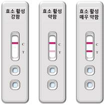 Hyaluronidase 활성도 측정 키트 예시 (sperm hyaluronidase 활성도에 따라 발색 신호 차이가 나타남