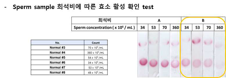 Sperm sample 희석 비에 따른 hyaluronidase 활성도 발색 경향 확인