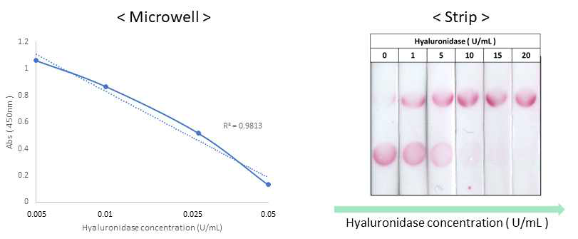 Bovine유래 hyaluronidase 농도에 따른 microwell 과 strip 경향 확인