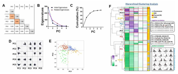 표현체 요소 PCA 분석 기법. A. PC1~5 상관 관계, B. PC eigen 값, C. PC 요소의 변화량 분석 축적도, D. PC 요소의 상관 관계, E. PC1과 PC2 요소에서 각 야생형의 변화값, F. PC 요소들의 계층적 분석