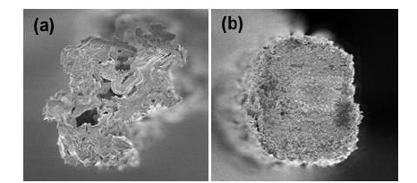 (a) 순수한 그래핀섬유의 단면 전자현미경 이미지, (b) 최적화된 조건으로 코팅된 그래핀/폴리도파민 복합섬유의 단면 전자현미경 이미지