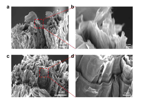 a,b) 환원된 그래핀산화물 섬유의 파단면 SEM 이미지와 확대 이미지 c,d) 환원된 나노다이아몬드/그래핀산화물 복합섬유의 파단면 SEM 이미지와 확대 이미지