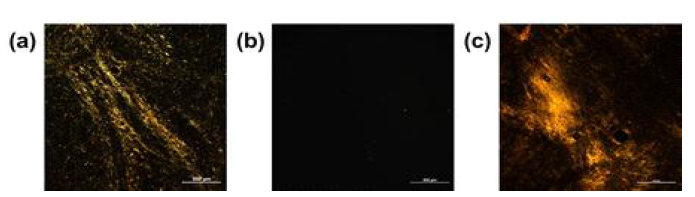 (a) 제조된 그래핀산화물, (b) 나노셀룰로오스, (c) 그래핀산화물과 나노셀룰로오스를 복합화한 dope의 편광현미경 사진