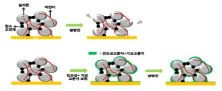 실리콘 과량 전극의 기능성 고분자 도입 효과