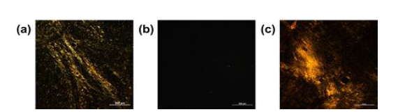 (a) 제조된 그래핀산화물, (b) 나노셀룰로오스, (c) 그래핀산화물과 나노 셀룰로오스를 복합화한 dope의 편광현미경 사진