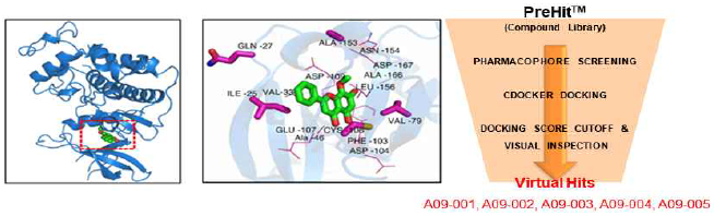 3D docking 모델 및 Virtual screening process-5 가지 물질 발굴
