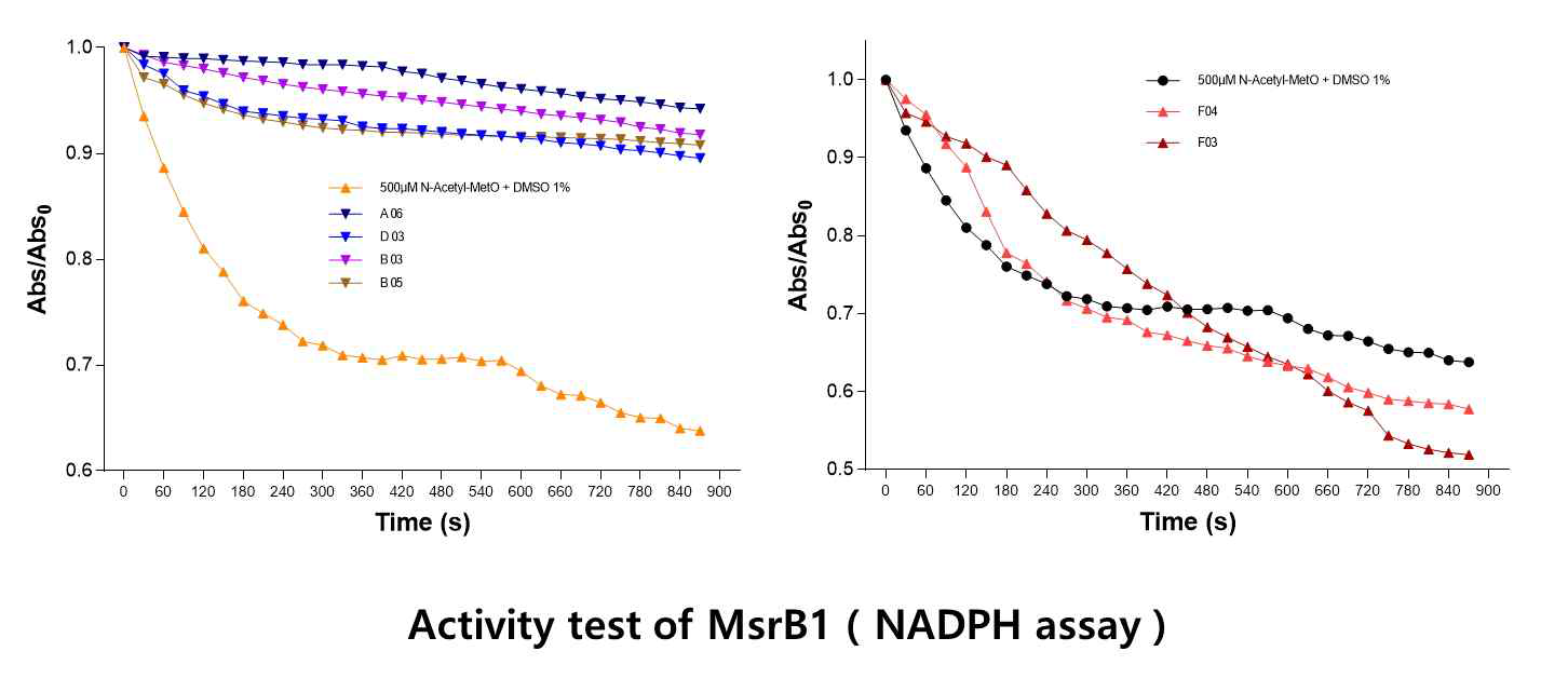 MsrB1의 활성제 및 저해제 Lead에 대하여 NADPH consumption assay(3차 스크리닝)를 통해 발굴한 MsrB1 활성제 및 저해제 후보군