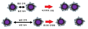 입자의 농도에 따른 안정화 상태를 설명하는 모식도