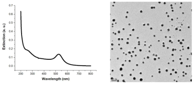 금속 나노입자의 UV-vis spectrum 및 TEM 이미지