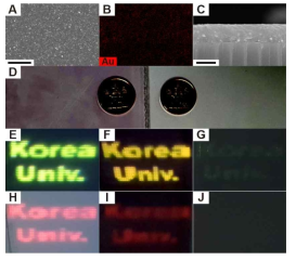 (A) An SEM image of gold nanoparticles printed in a large area glass, and (B) its elemental map for gold (shown in red). (C) An SEM image of the size view of the gold nanoparticle layer. (D) Photographs of (left) a transparent glass on which the gold nanoparticles are printed, and (right) on which no nanoparticles are printed. (E) “Korea Univ.” is shown in green (450 nm) on white paper, (F) on a transparent display, and (G) on a glass. (H) “Korea Univ.” is shown in red on white paper, (I) on a transparent display, and (G) on a glass