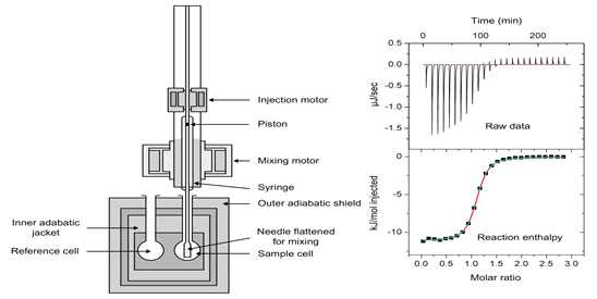 Isothermal Titration Calorimetry (ITC) 모식도