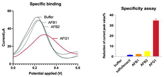 전기화학적 분석법 (SWV) 통한 AFG1-3 앱타머의 타겟 반응 특이성 확인