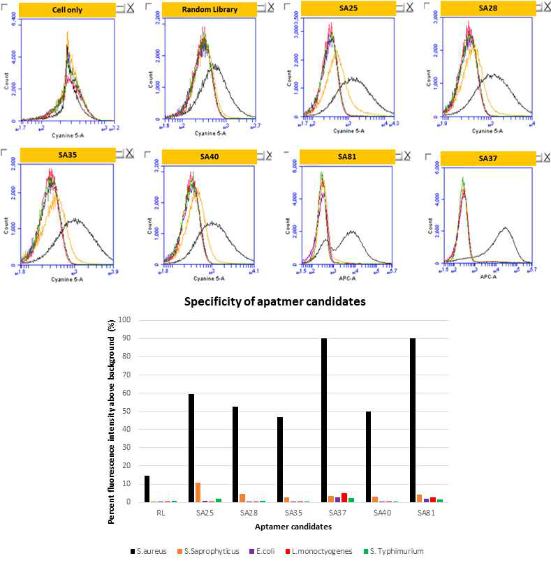 유세포 분석 통한 S.aureus 앱타머 후보군 6종의 결합 특이성 분석