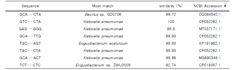 27f-1492r primer set를 이용하여 증폭된 16S rRNA gene의 동정결과