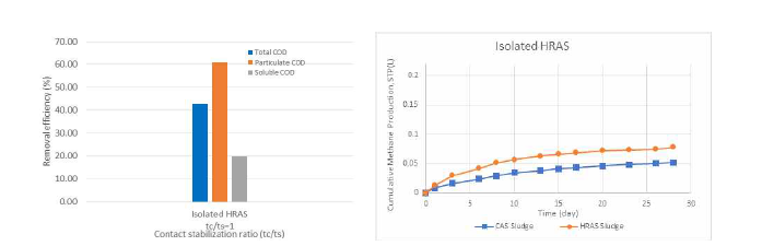 분리배양된 균주의 유기물 제거효율, 메탄 생산량