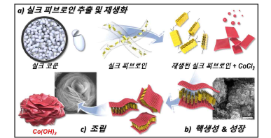 실크 피브로인을 사용하여 삼차원 구조 Co(OH)2 전구체를 합성하는 모식도]