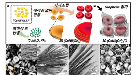 (a) 삼차원 구조 (CoNi)(OH)2/G 전구체 합성 모식도. (CoNi)(OH)2 전구체의 (b) SEM 이미지와 (c,d) TEM 이미지. (e) (CoNi)(OH)2/G 전구체의 SEM 이미지