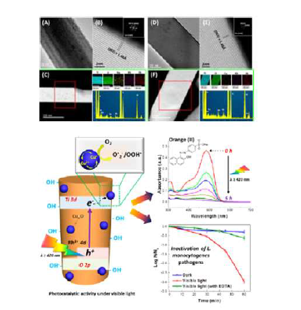 Rh-Sb co-doped TiO2 nanorod에 의한 박테리아의 불활성화