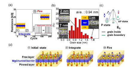Spin 뉴런 소자 integrate-and-fire mechanism (a) spin 뉴런 소자의 integrate-and-fire 특성 (b) MgO 터널링 배리어 grain 사이즈 분포 (c) grain boundary와 grain inside의 energy diagram (d) integrate-and-fire mechanism