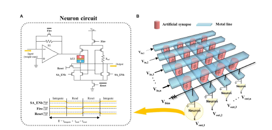 (a) integrate-and-fire을 위한 뉴런 회로 (b) artificial synapse을 삽입한 crossbar array