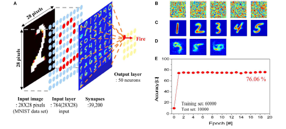 (a) single layer SNN 도식도 (b) learning 전 synaptic weight (c) learning 후 synaptic weight (d) learning 후 (e) 패턴인식 정확도(a) single layer SNN 도식도 (b) learning 전 synaptic weight (c) learning 후 synaptic weight (d) learning 후 (e) 패턴인식 정확도